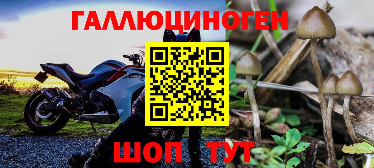 Галлюциногенные грибы ЛСД  Вход с VPN  Псилоцибиновые грибы мухоморы  Ивантеевка 